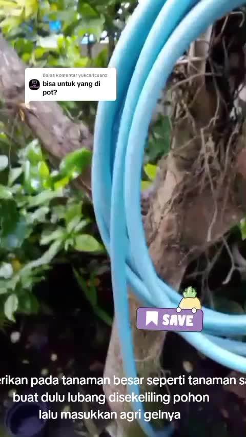 agri gel inovasi pertanian yang wajib kamu tau  #agrigel  #inovasipertanian