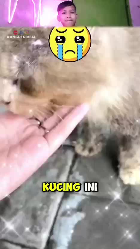  #RCTIPlus  #HOTrctiplus  #RCTIoke  #rcti  #HomeOfTalentRCTIPlus  #RCTIplusTanpaBatasWaktu 