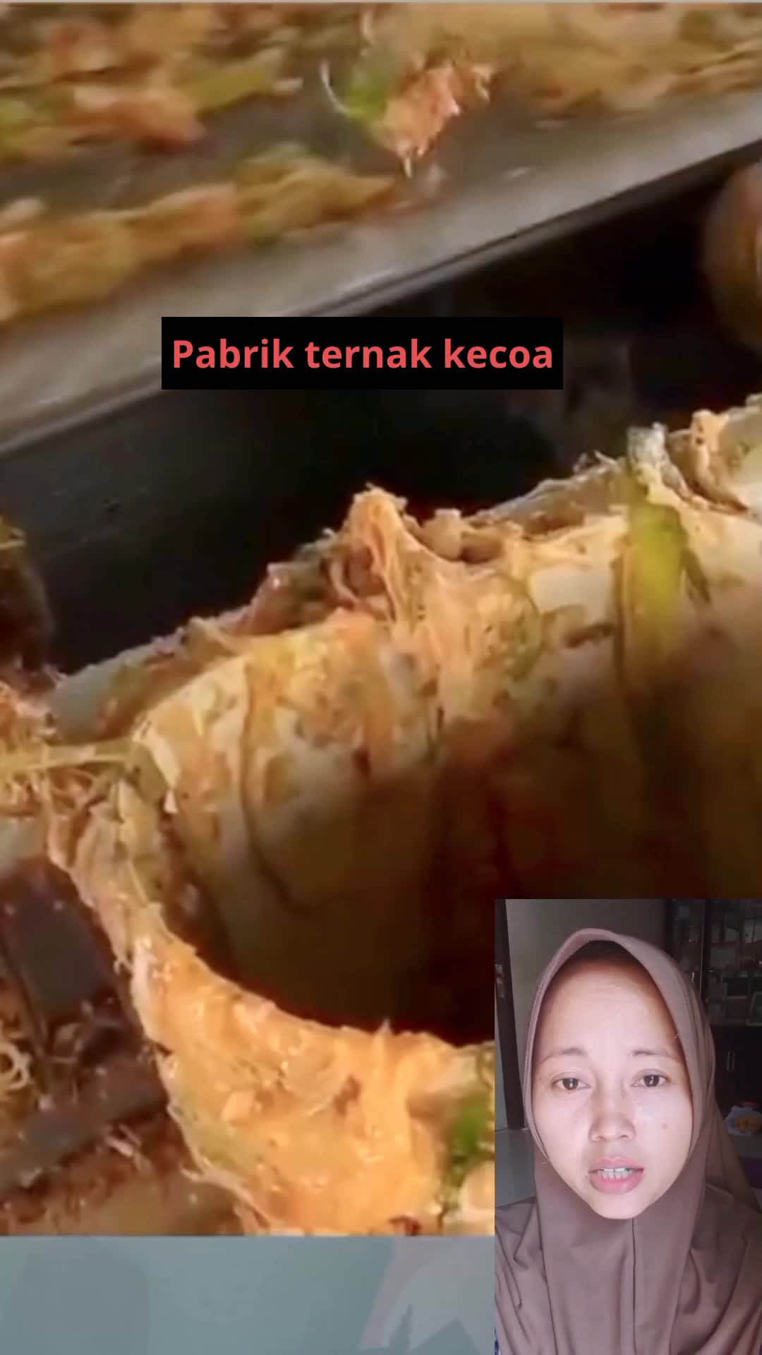 pabrik kecoa #ternak #kecoa #hewan #viral #cutestanimal 