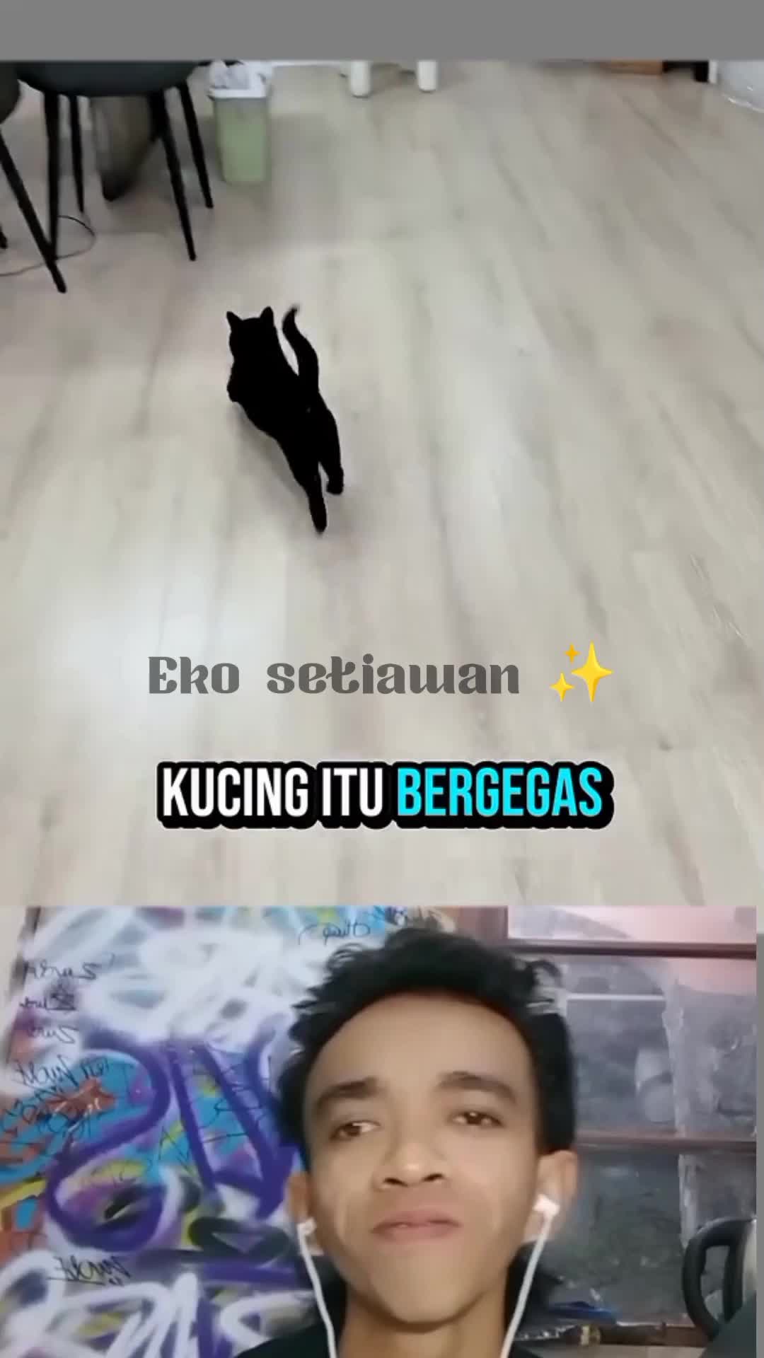 kucing hitam yang selalu nyamar 🤣