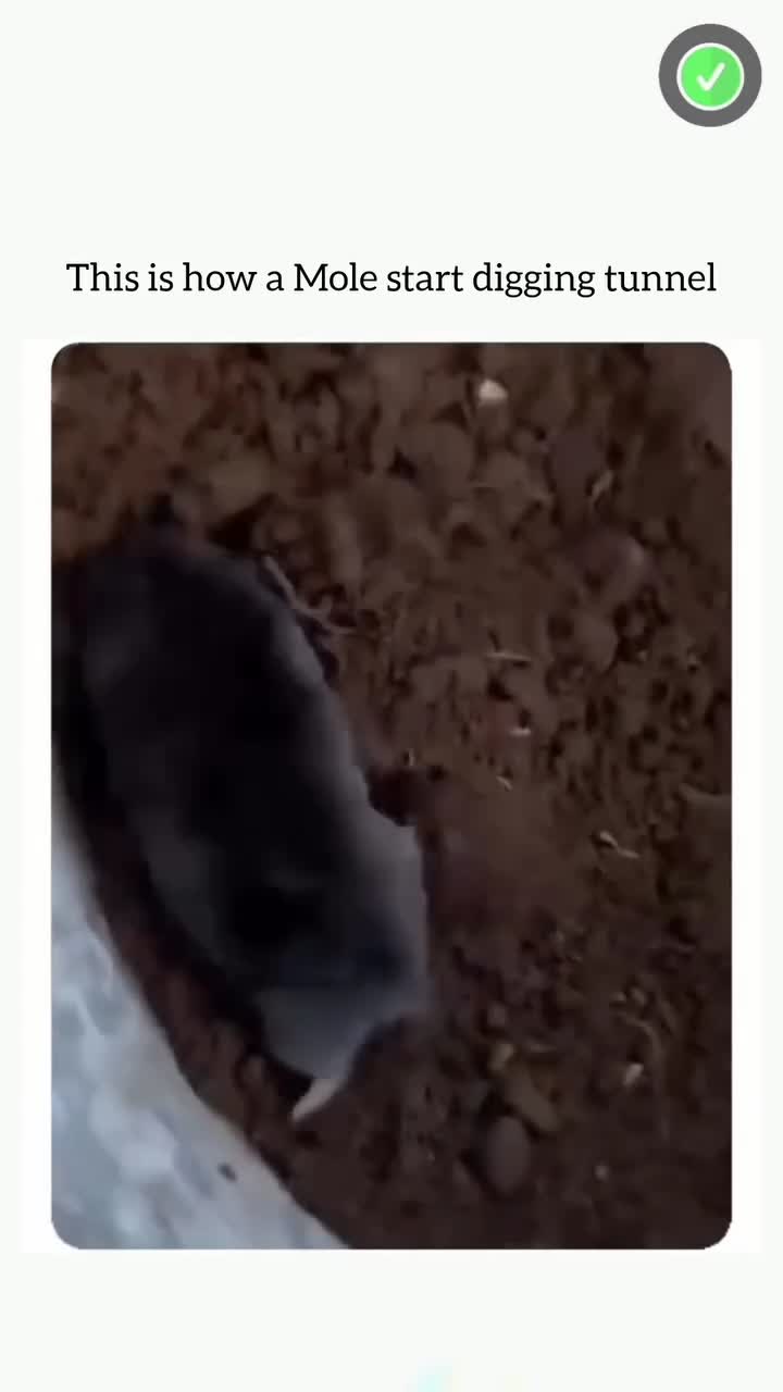 This Will Blow Your Mind! Part 138 🔥 #creativeprocess #innovation #trendingnow #inspiration