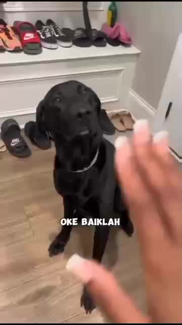 Anjing aja sebelum makan berdoa dulu, masaa kamu enggak...




#fyp #short #rigelagency #OriginalSong #HOTrctiplus #RCTIPlus  #viral #HOT #v