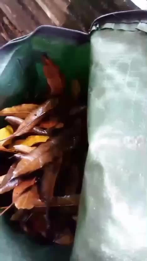 Tutorial membuat kompos pakai kompos bag  #komposbag  #tutorial   #komposbag