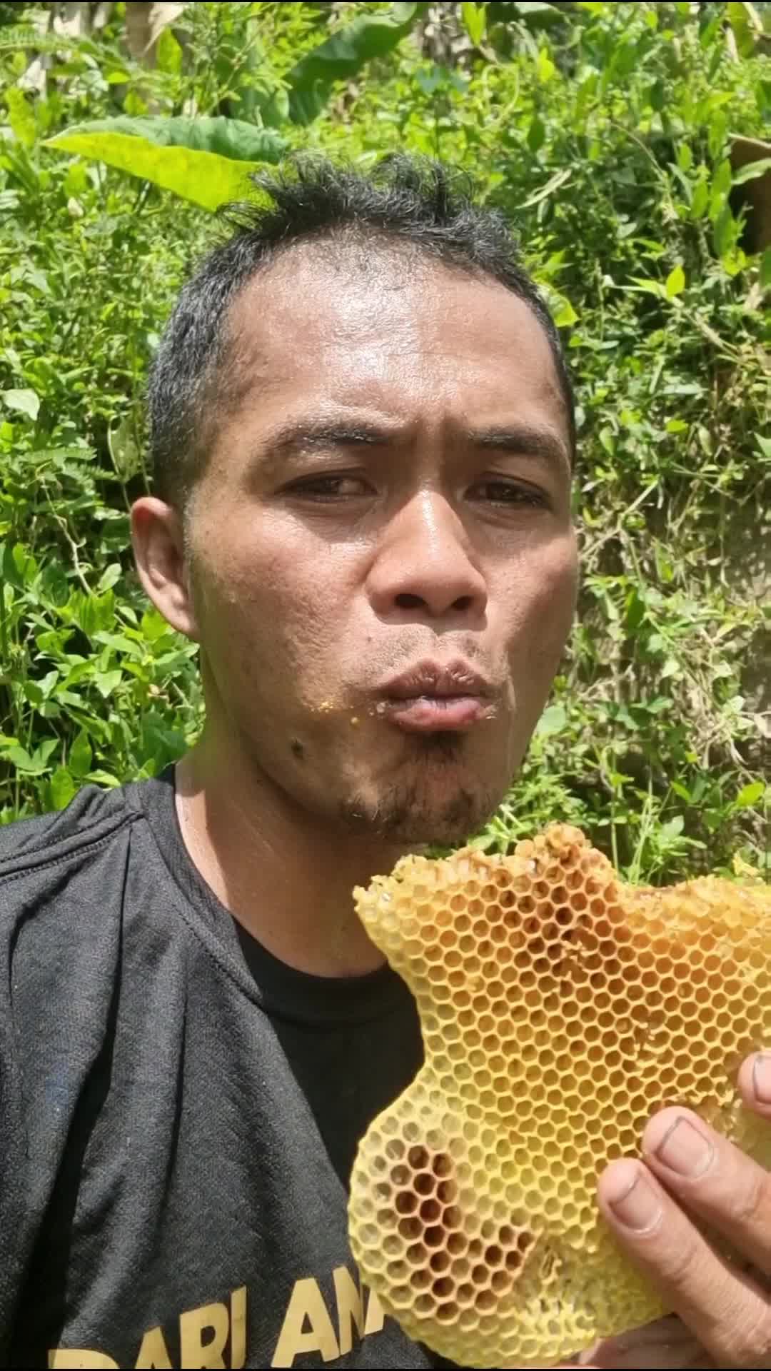 Ngala madu hutan #Viral 