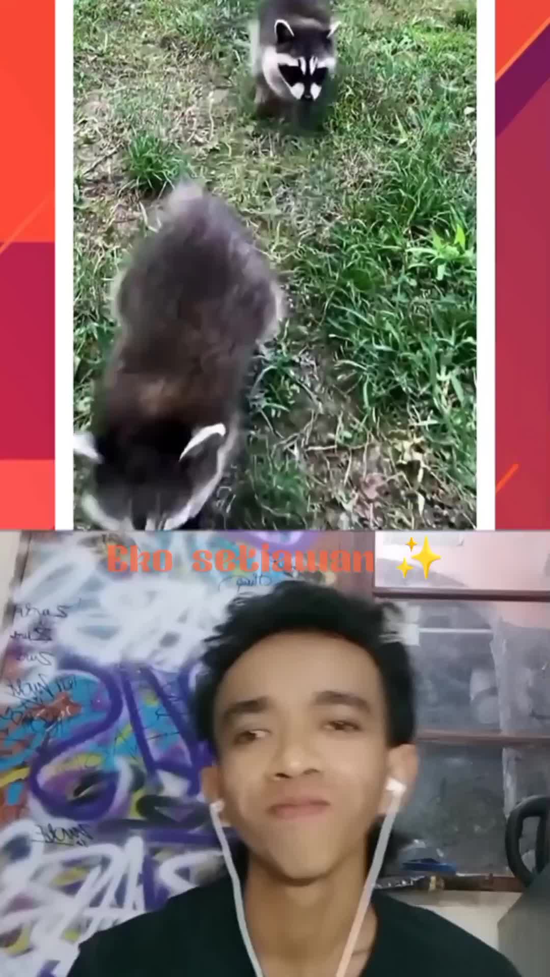 wanita ini menyelamatkan dan merawat bayi RAKUN yang sangat lucu ? #duett #clippers #reactiont 