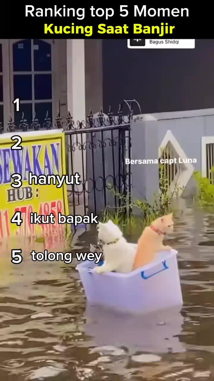 PRANK PART 6