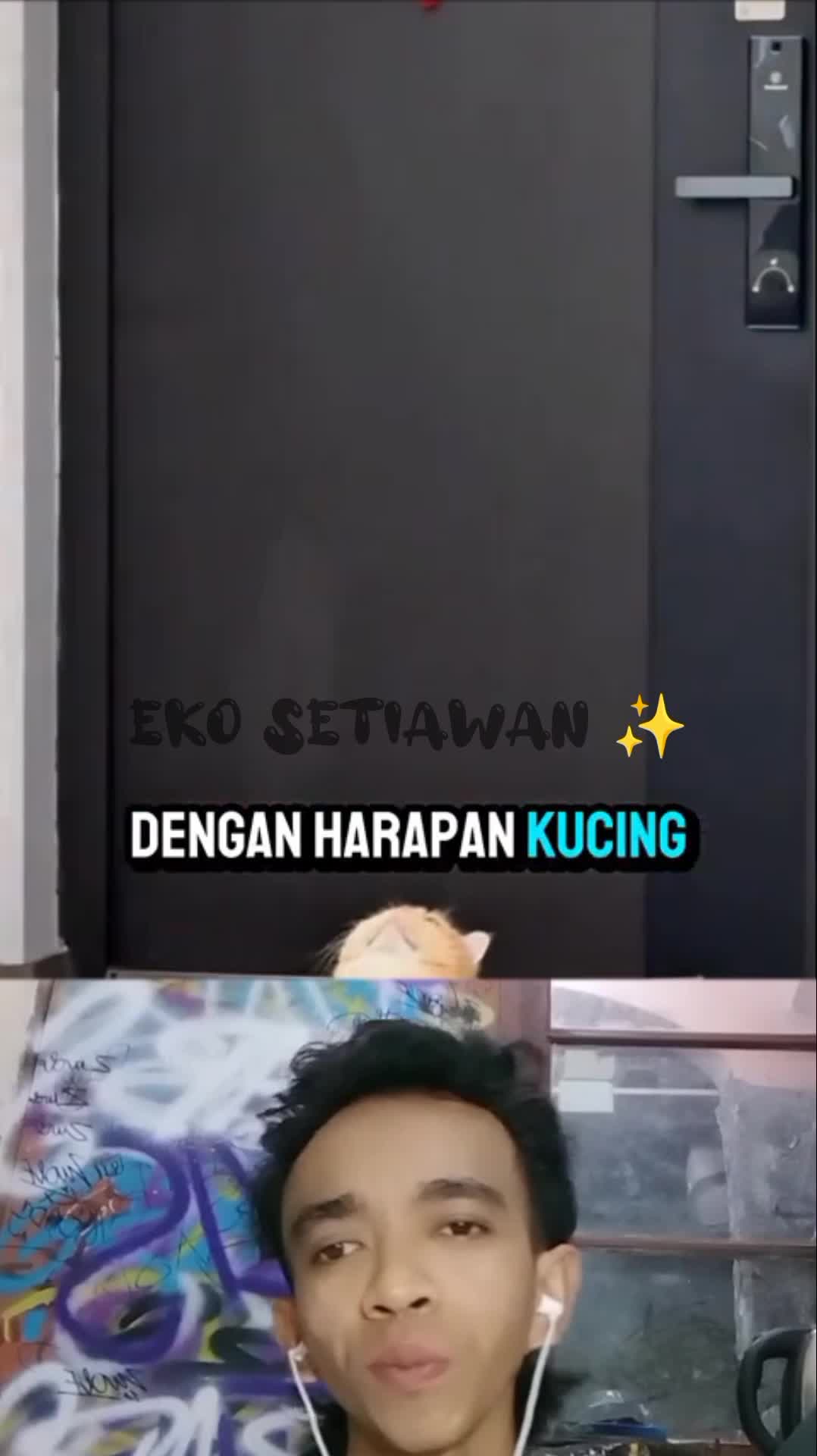 kucing ini mempunyai pantat paling besar sedunia ✨