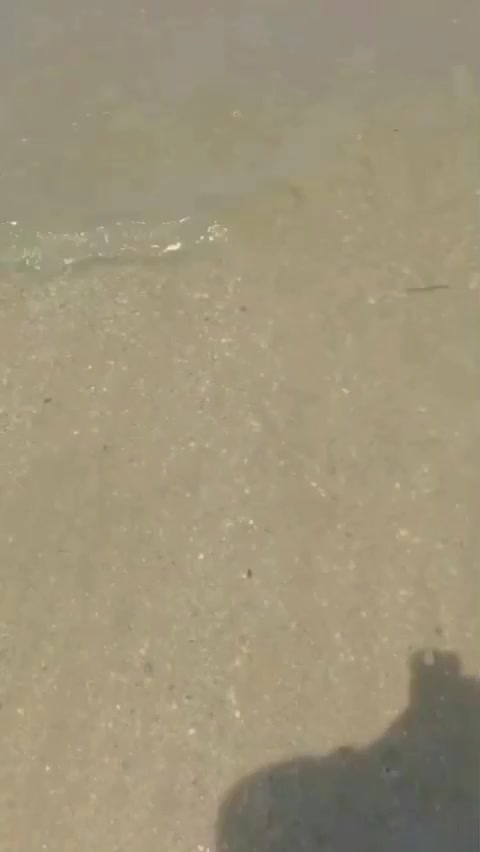 Pantai semilir, Tuban