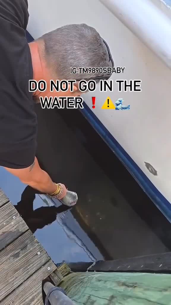 ikan apa tuh serem banget 