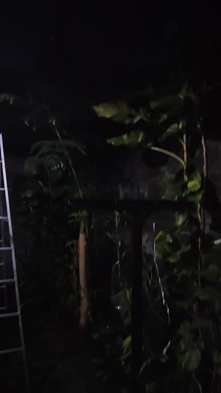 ada lihat sesuatu?  #Masih Menjadi Misteri 