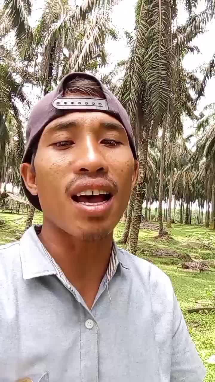 Alan rockersponggol...
gulali cover