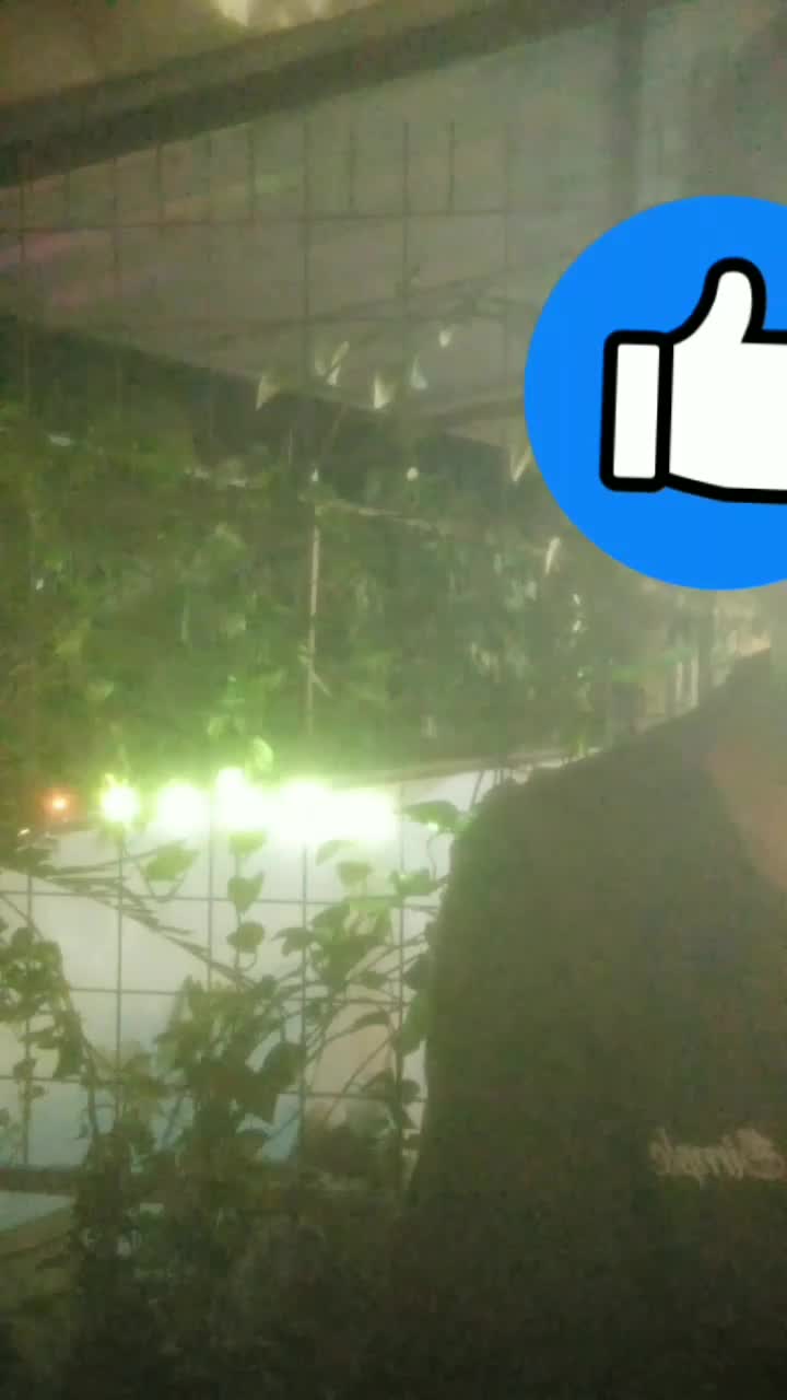 mikum, hallo gass heheey ?? 
 #laguviral  #lagusantai  #lagusejutaumat  #musikkita #RCTIoke  #