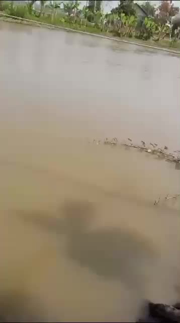 Perhau hampir tenggelam