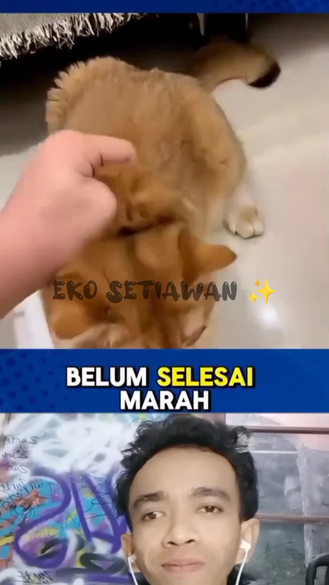 buah naga majikannya hilang setengah dan pelaku nya adalah si oyen?