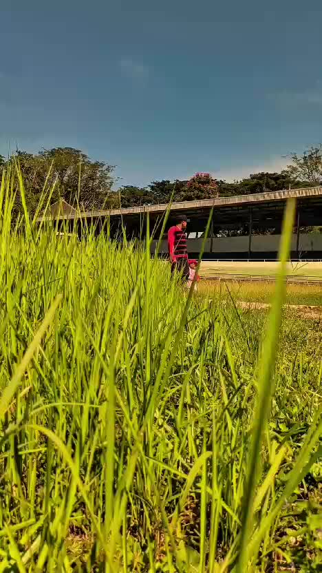 jalan bersama anak #HOTrctiplus #RCTIPlus #contentcreatorpemula 