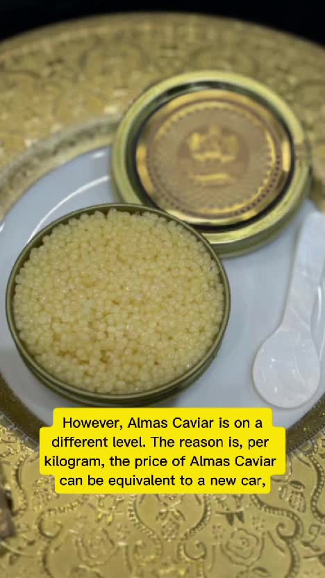 Alamat Caviar #caviar #asmr #food