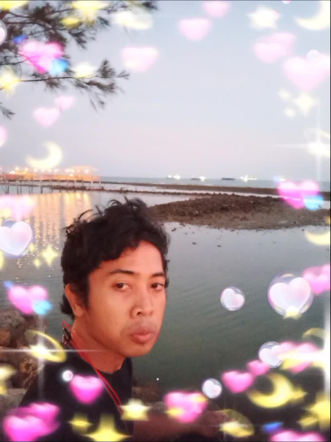 bsbsh