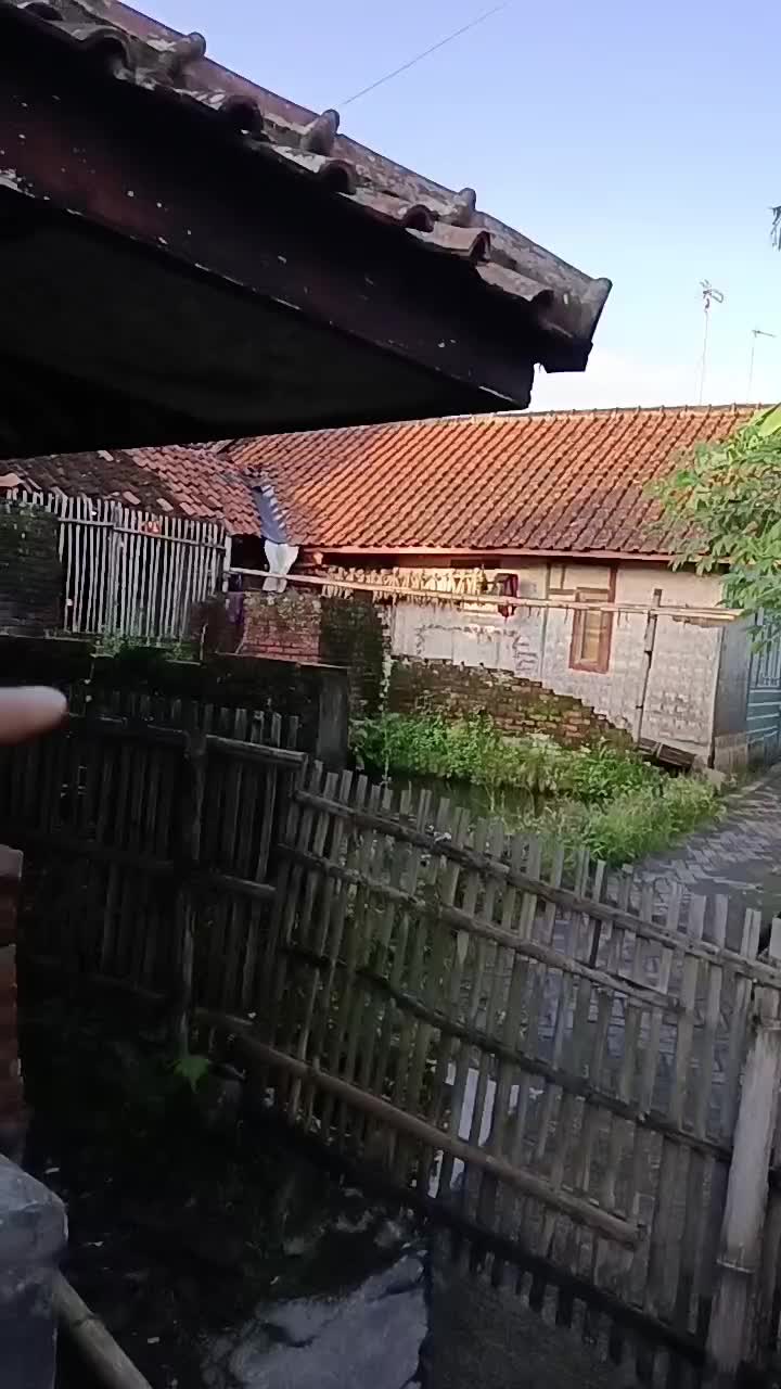 spil suasana kampung di pagi hari
 #short  #HOTrctiplus  #RCTIPlus  #fyp 