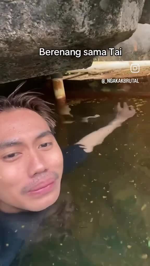 berenang bareng tai 😂😂😂