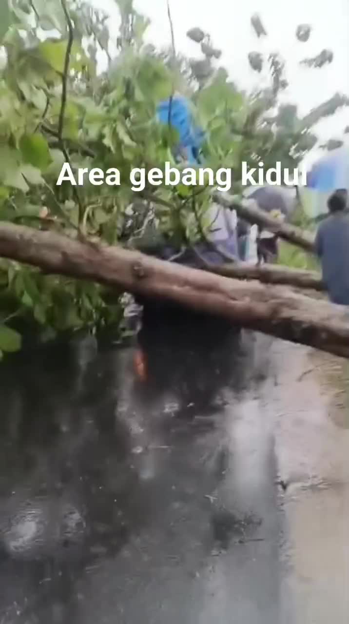 Hati hati lur mulai musim hujan bahaya 