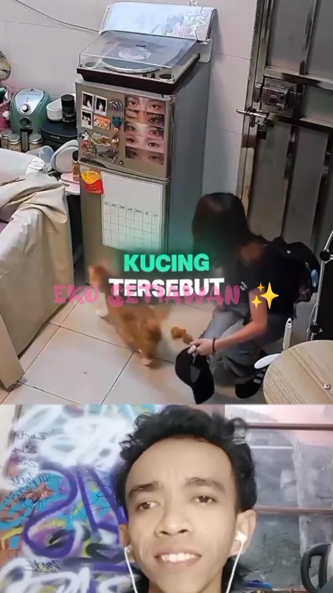 kucing ini sedang hamil ? dan memberikan kejutan ke majikannya ?