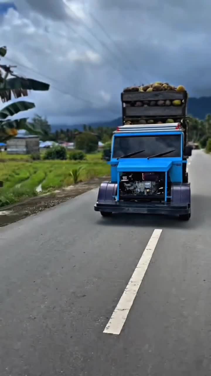 mobil angkutan modifikasi 