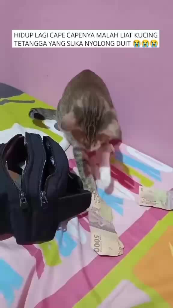 ffff