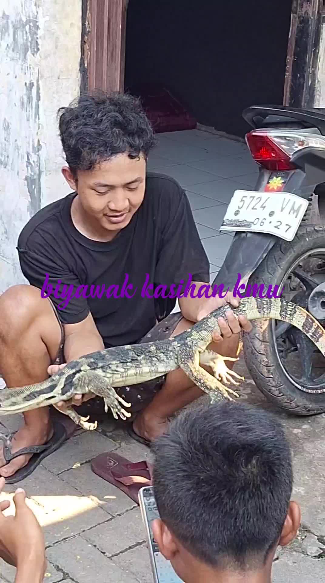 mau bertahan hidup tp salah tempat buat cari mangsa ...ketika tertangkap ...biyawak di sembelih...