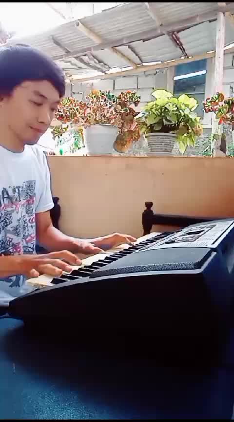 Cover Keyboard Mimpi yang Sempurna -  PETERPAN / NOAH 