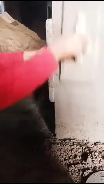 plester mudah dan simple