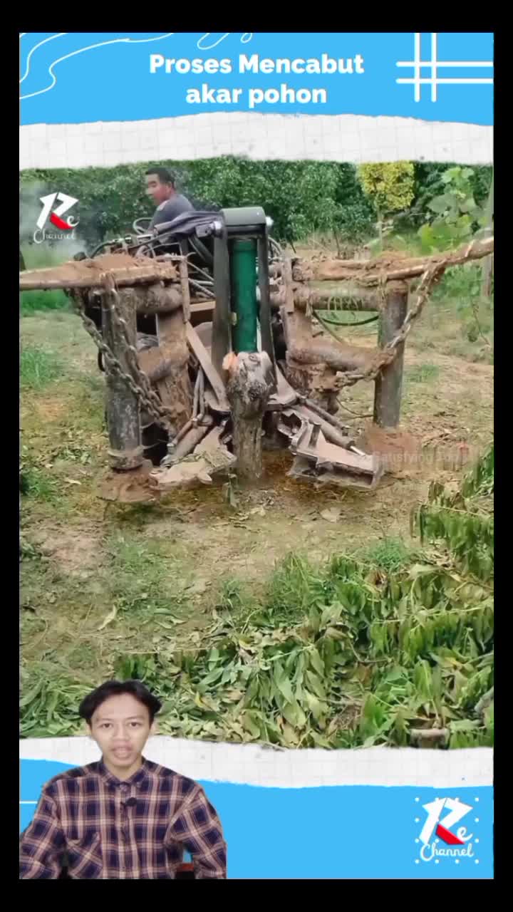 Mencabut akar pohon Mengunakan mesin 
#viral_video​ 
#shorts​ 
#shortvideo​
#RCTIPlus 
#RCTIoke 
#HOTrctiplus 
#fypシ゚viral 
#1TRENDING
#shor