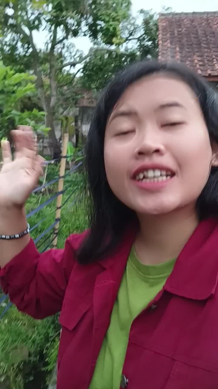 spoil suasana pagi hari di perkampungan
 #viral 