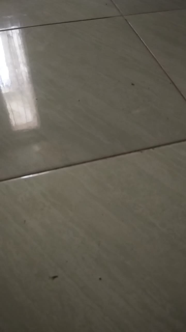 tes