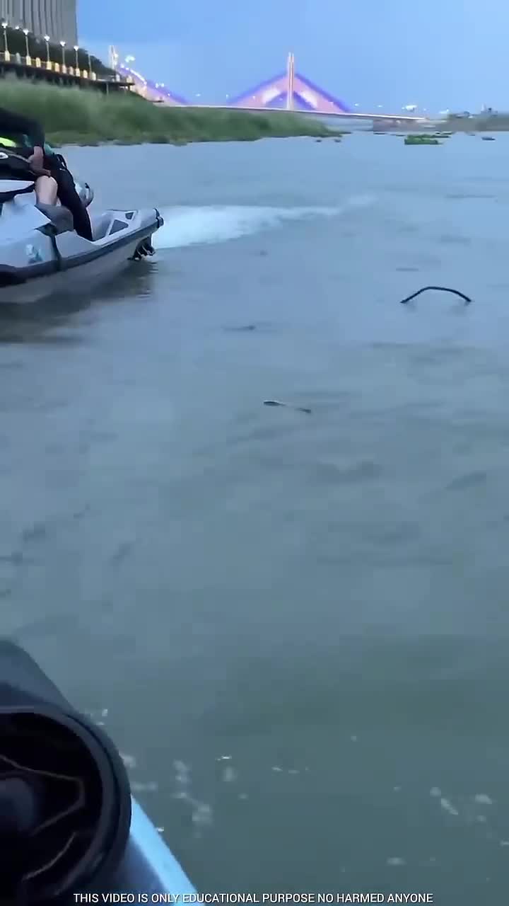 lihat  #RCTIPlus  #rcti #Viral  #trending 