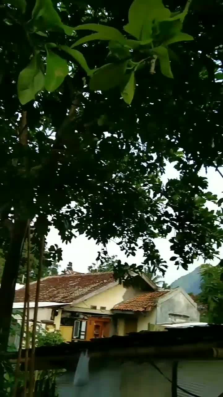 berjalan sendiri tanpa ada yg menemani 
 #showyourtalent 