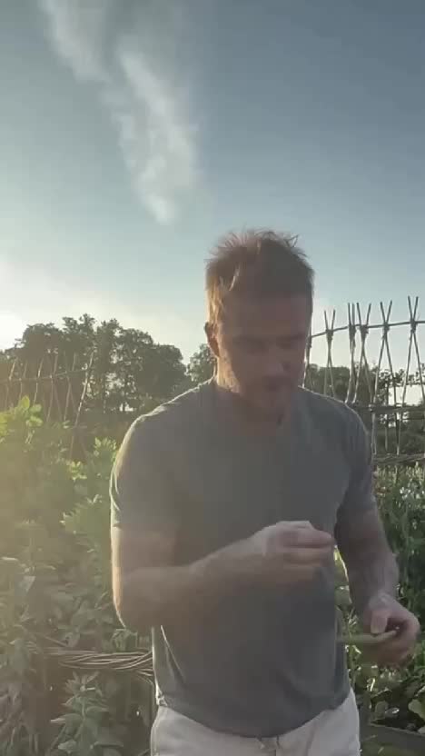 #davidbeckham berkebun #pemainsepakbola #davudbeckhamberkebun  #Berkebun  #kebunshaka