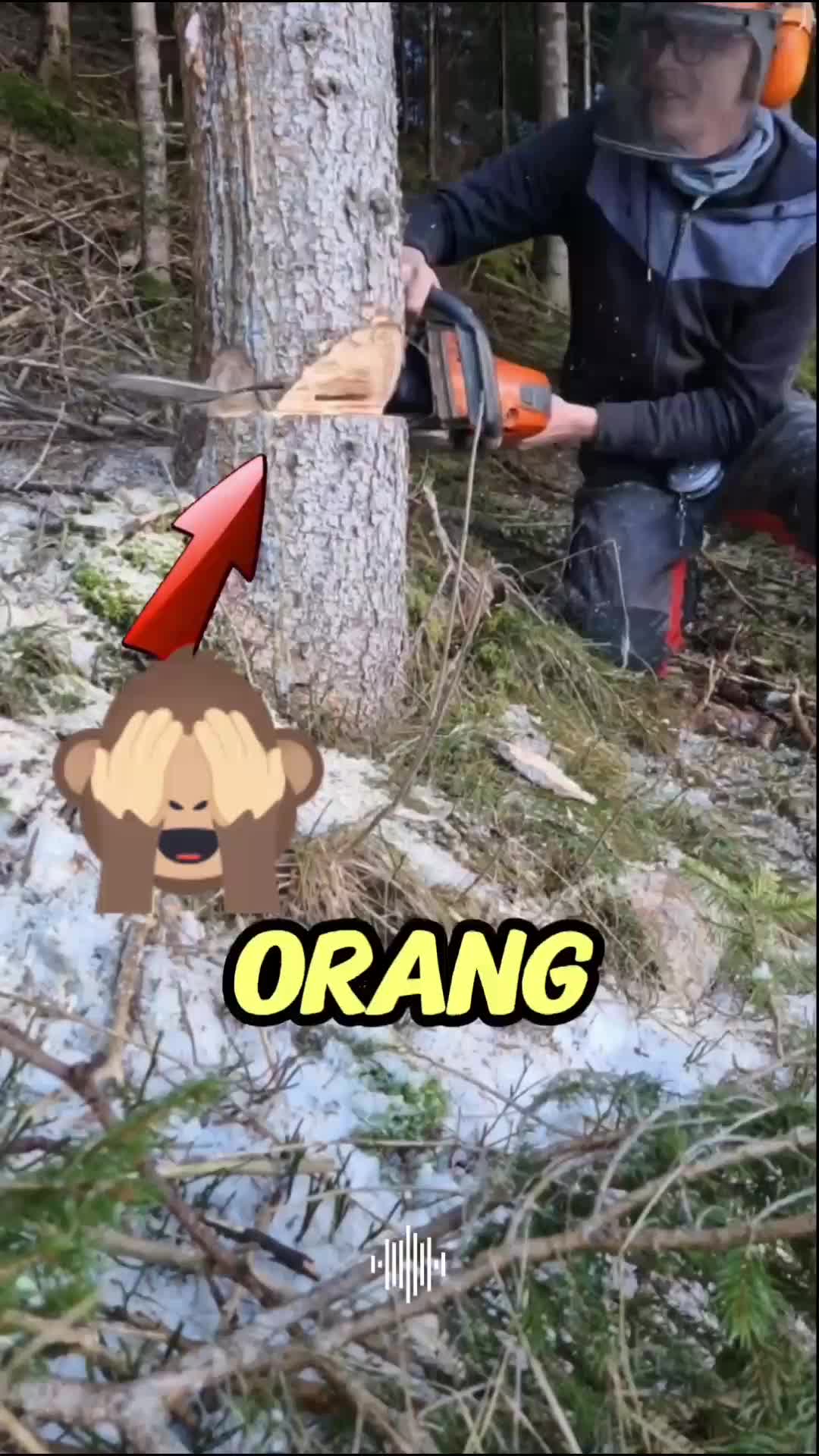 yang gak berani jangan liat