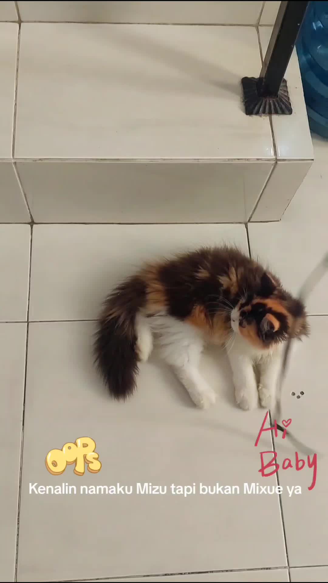 Mizu kucing bocil comel