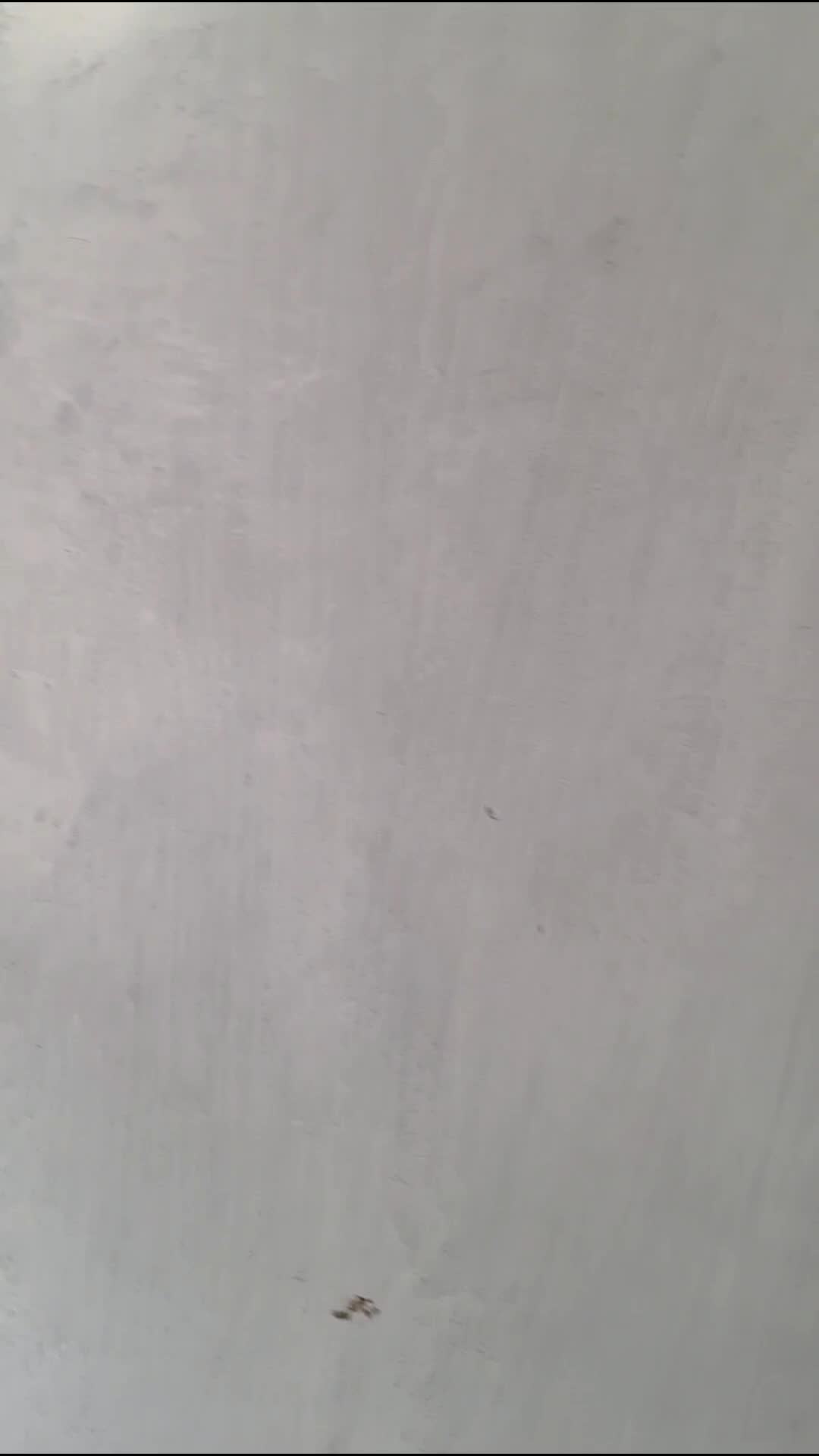 cover-image