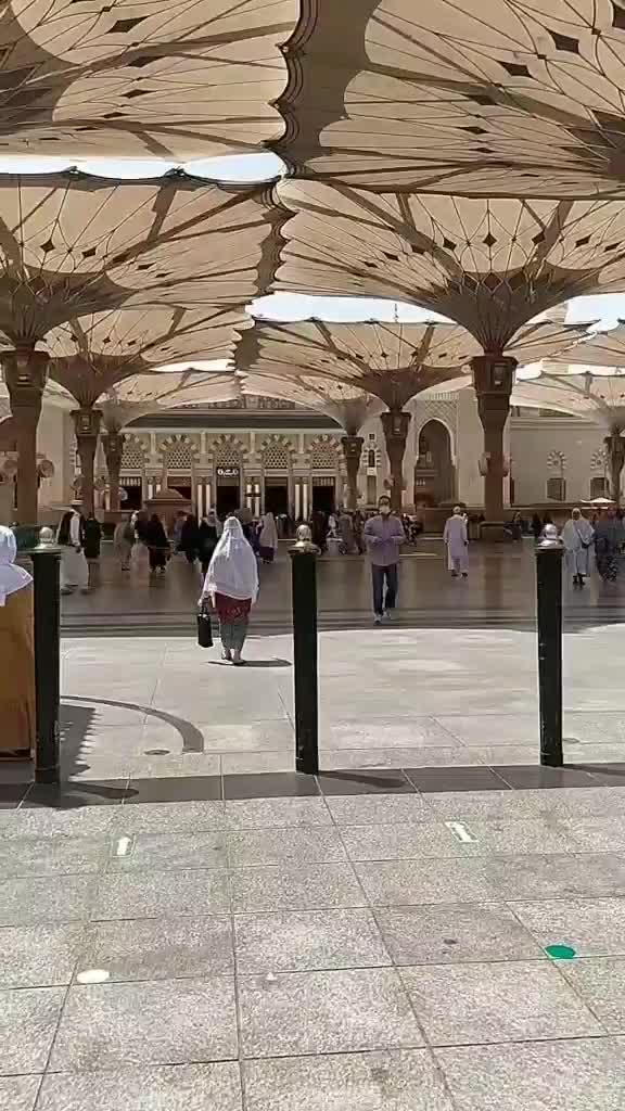 #madinah#burungdimadinah#bulannabi#