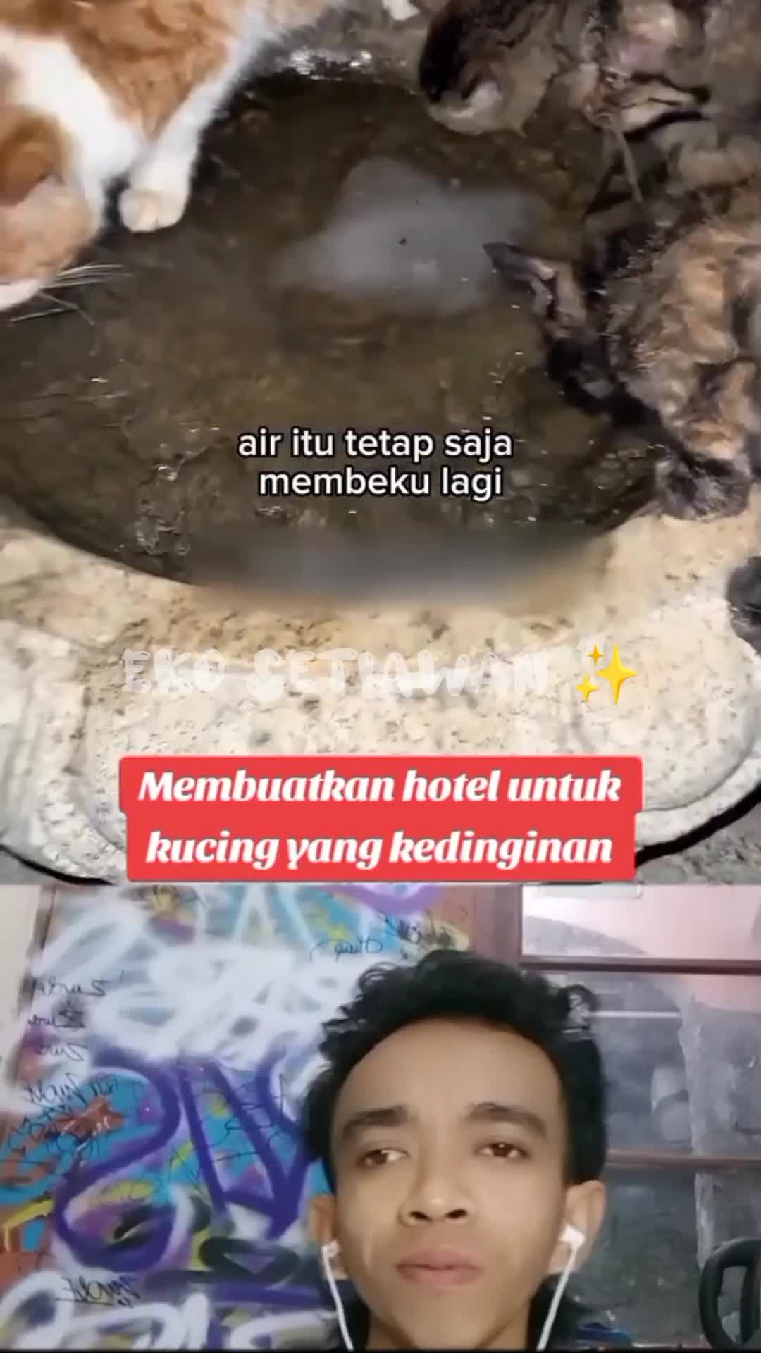 membuatkan hotel untuk kucing yang kedinginan ?