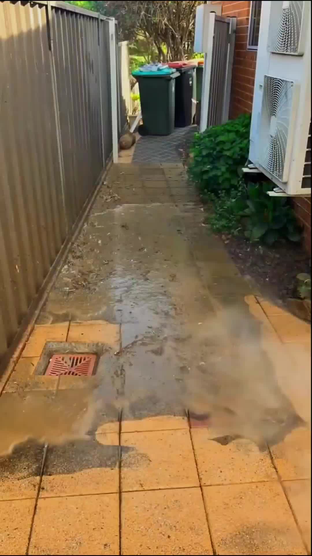 Saksikan bagaimana kotoran dan debu lenyap dalam hitungan detik, meninggalkan permukaan bersih dan segar. #cleaning