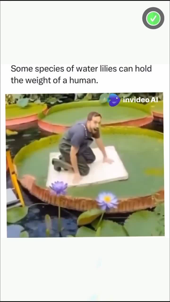 This Will Blow Your Mind! Part 189 🔥 #creativeprocess #innovation #trendingnow #inspiration