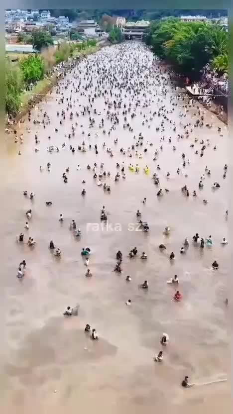 jala ikan #Berita Fenomenal  #viral 