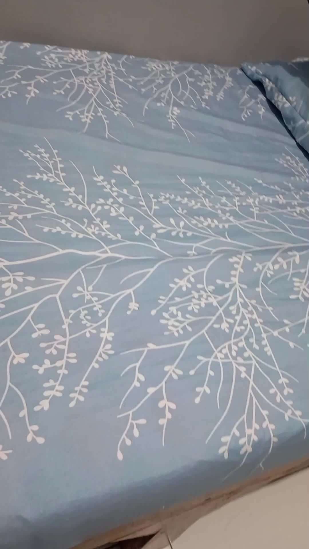 mau kemana hari ini? 