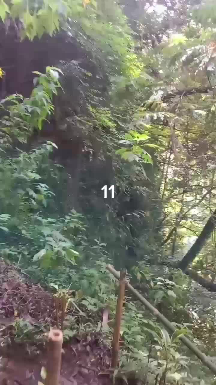 Tracking Air Terjun Coban Srikandi Desa Benjor Kab. Malang Jatim Part11 #tranding  #malangjatim  #airterjun 