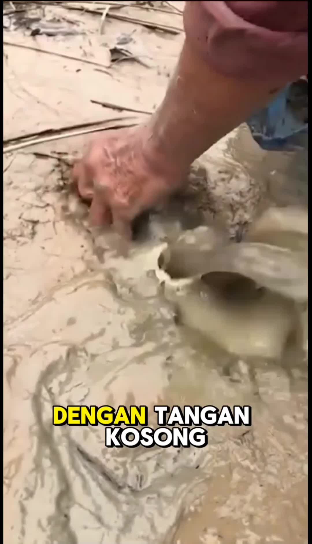 ??? #RCTIPlus #lucu #viral #reaction 
