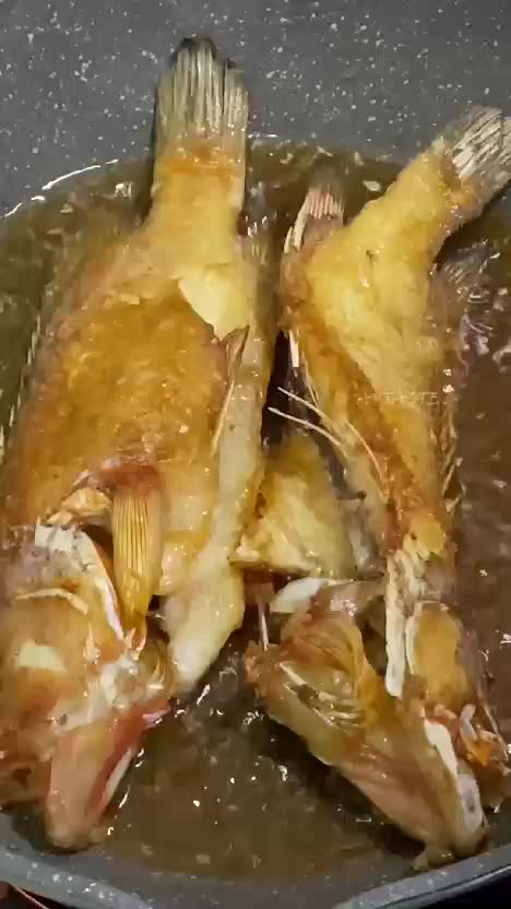 Ikan Krapu Merah Sambal Kecap ??