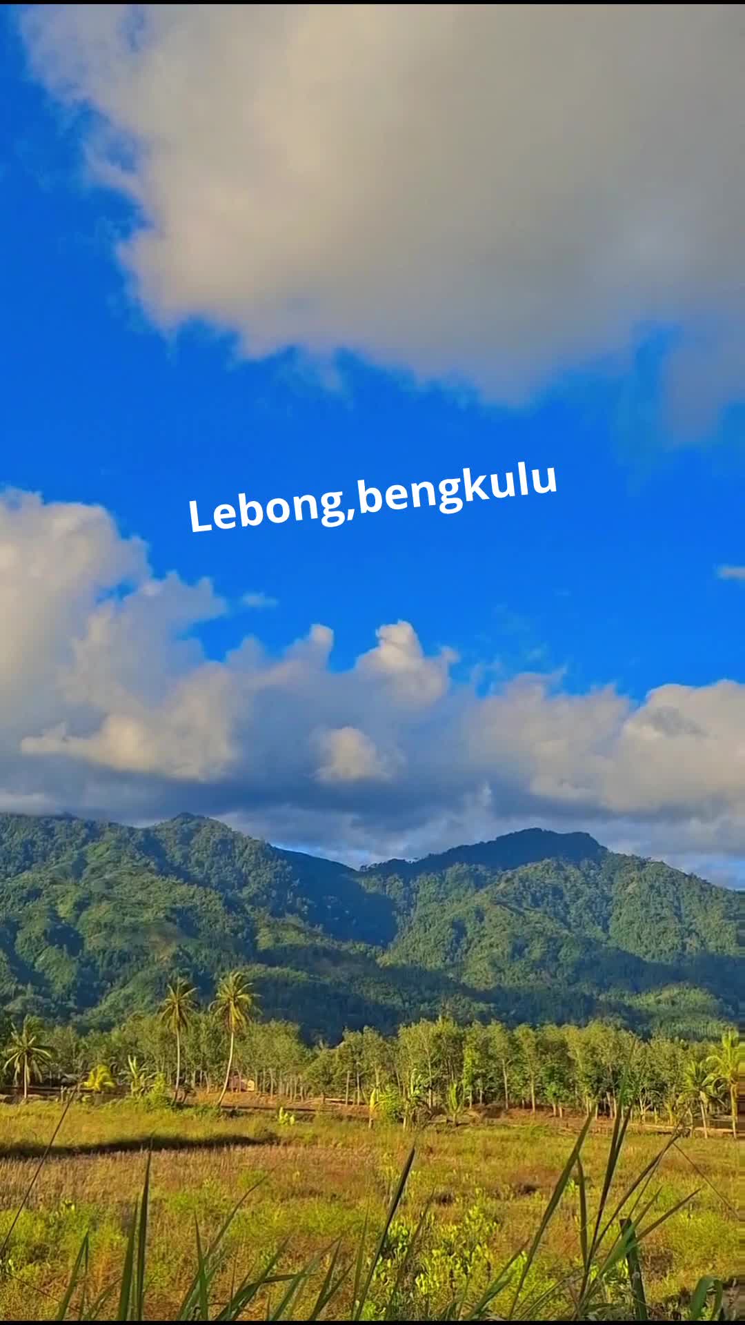 pemandangan sore