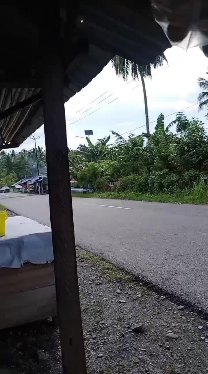 selamat pagi semua 
 #Viral 